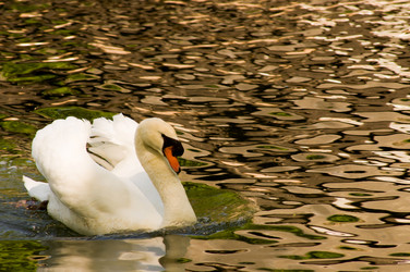 Similar image 696916