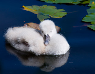 Similar image 696917