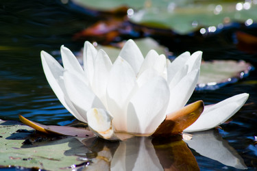 Similar image 696918