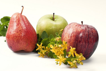 Similar image 696919