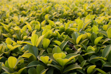 Similar image 696920