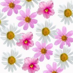 Similar image 696960