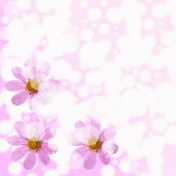 Similar image 696969