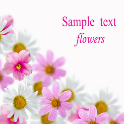 Similar image 696971