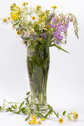 Similar image 697007