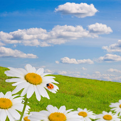 Similar image 697011