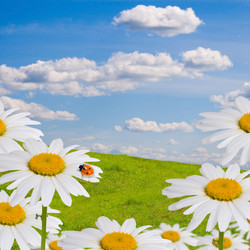 Similar image 697012