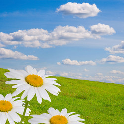 Similar image 697013