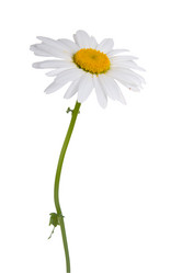 Similar image 697015