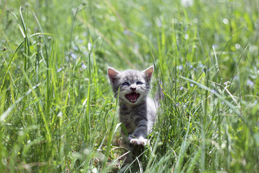 Similar image 697020