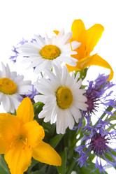 Similar image 697024