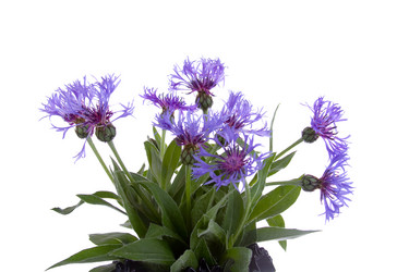 Similar image 697025