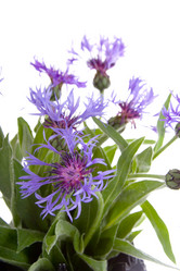 Similar image 697026