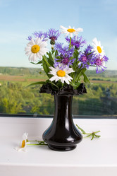 Similar image 697029