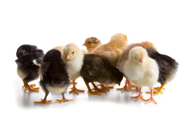 Similar image 697032