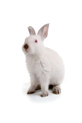 Similar image 697035