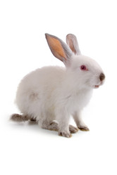 Similar image 697036