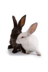 Similar image 697037