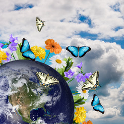 Similar image 697050