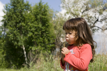 Similar image 697074