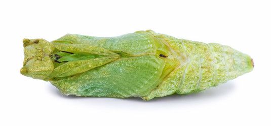 Similar image 697104