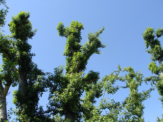 Similar image 697155