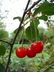 Similar image 697157