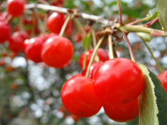 Similar image 697158