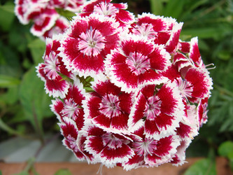 Similar image 697160