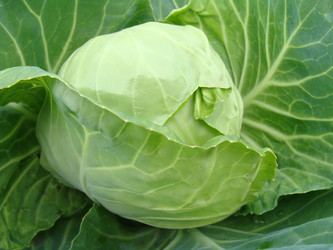 Similar image 697162