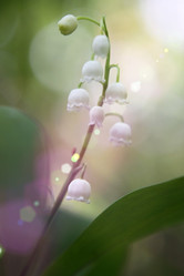 Similar image 697164