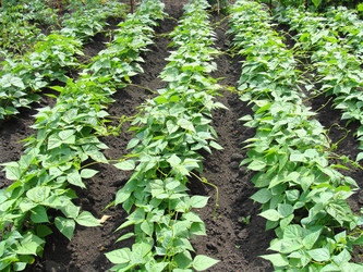 Similar image 697165