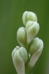 Similar image 697166