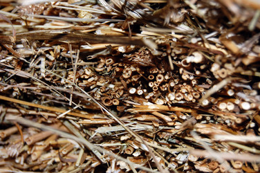 Similar image 697203