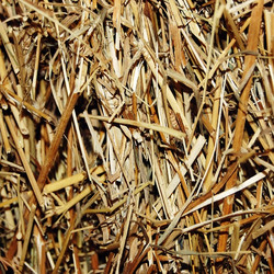 Similar image 697205