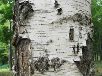 Similar image 697216