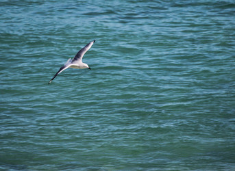 Similar image 697218