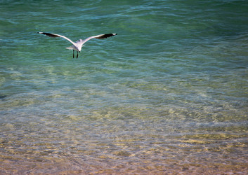 Similar image 697219