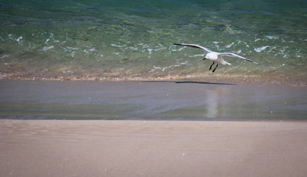 Similar image 697221