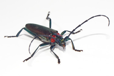 Similar image 697225