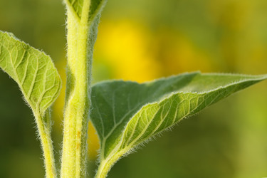 Similar image 697242