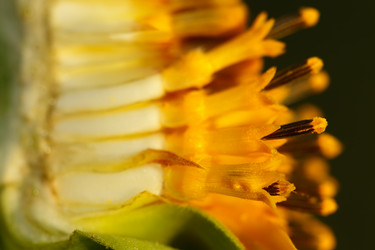 Similar image 697243