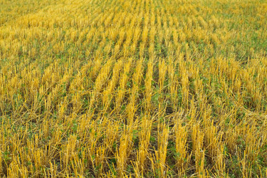 Similar image 697253