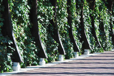 Similar image 697257