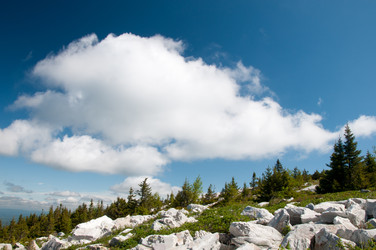 Similar image 697269