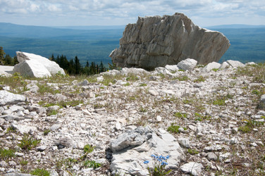 Similar image 697270