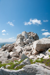 Similar image 697271