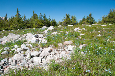 Similar image 697275