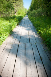 Similar image 697277