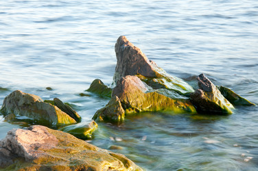 Similar image 697294